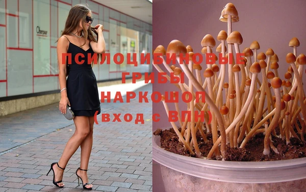 дмт Аркадак